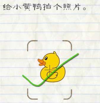 《长相思》中如果涂山篌威胁到了小夭的生命，涂山璟会杀掉哥哥吗？
